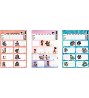 Moana Ders Programlı 3 Lü Etiket