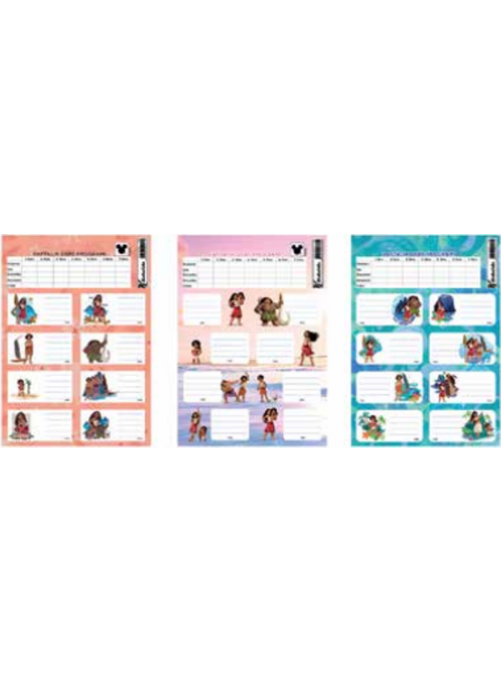 Moana Ders Programlı 3 Lü Etiket