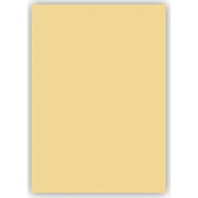 Mondi Fon Kartonu 50x70 120 gr Krem (1 Adet)