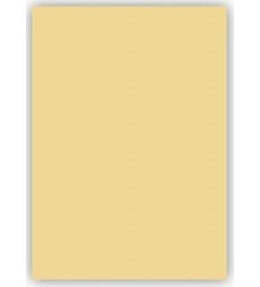 Mondi Fon Kartonu 50x70 120 gr Krem (1 Adet)