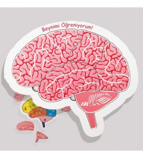 Moon Beavers Beynimi Öğreniyorum Ahşap Eğitici Oyun