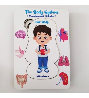 Moon Beavers Vücudumuz Sistemleri Erkek Ahşap Eğitici Oyun