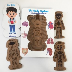 Moon Beavers Vücudumuz Sistemleri Erkek Ahşap Eğitici Oyun