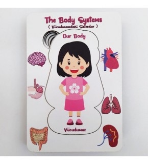 Moon Beavers Vücudumuz Sistemleri Kız Ahşap Eğitici Oyun