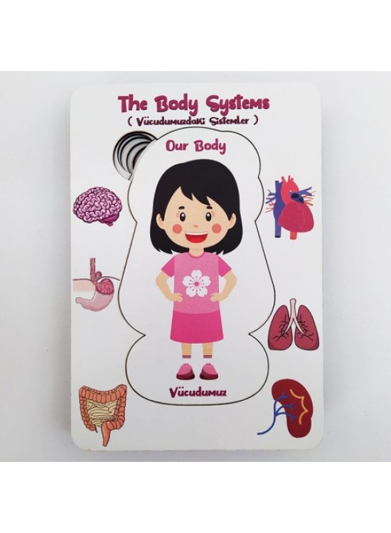 Moon Beavers Vücudumuz Sistemleri Kız Ahşap Eğitici Oyun