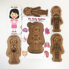 Moon Beavers Vücudumuz Sistemleri Kız Ahşap Eğitici Oyun