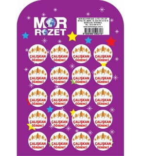 Mor Rozet Çalışkan Öğrenci (1 Adet)