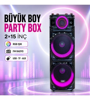 NDR NDR1526 Çift Karaoke Mikrofonlu Bluetooth Hoparlör FM Radyo 100W 2x15 İnç RGB Kumandalı Siyah