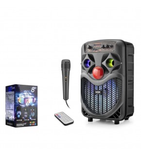 NDR NDRP66 Karaoke Mikrofonlu Bluetooth Hoparlör FM Radyo 10W 8 İnç RGB Siyah