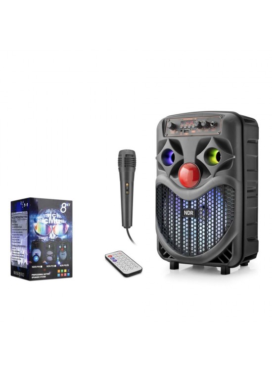 NDR NDRP66 Karaoke Mikrofonlu Bluetooth Hoparlör FM Radyo 10W 8 İnç RGB Siyah