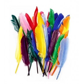 Neon KuşTüyü 20cm 10 lu HKD-109
