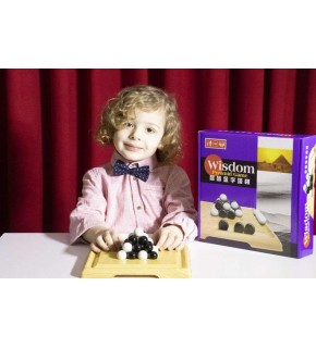 Newtoys Wisdom Piramit 0102