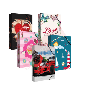 Noki Kutu Klasör Desenli Lastikli