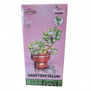 Oceanfour 113-17-24-2 Graptopetalum Çiçek Lego