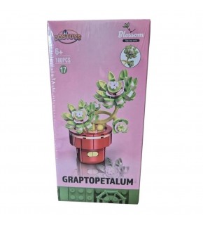 Oceanfour 113-17-24-2 Graptopetalum Çiçek Lego