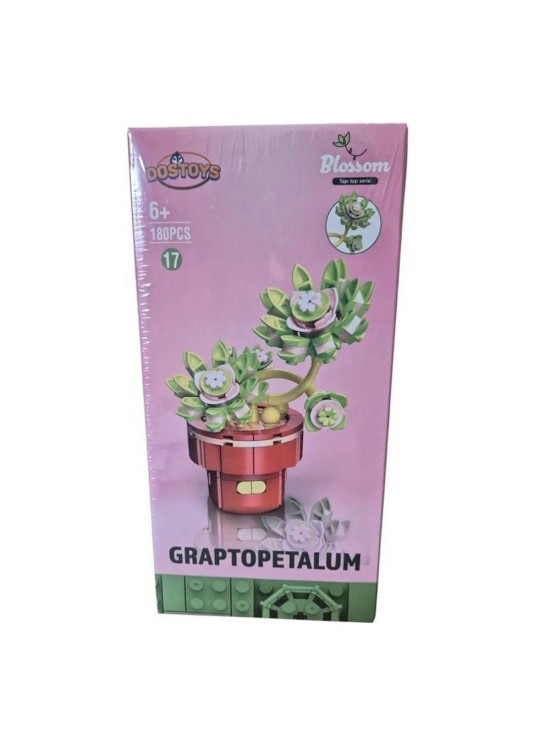 Oceanfour 113-17-24-2 Graptopetalum Çiçek Lego