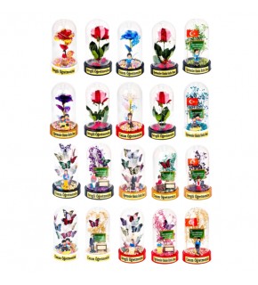 Öğretmenler Günü 10x18 Fanus Güllü Ledli