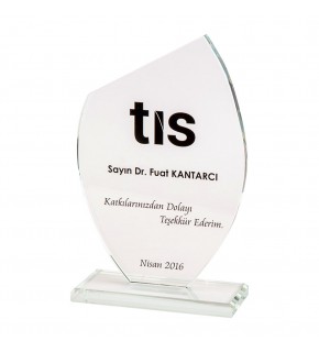 ONAT KRİSTAL PLAKET