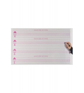 Panda Klavuz Çizgili-Evli-Yazı Alanı 110x55-Pan784