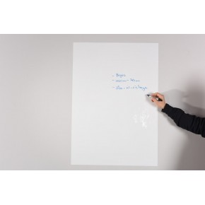 Panda Sade Beyaz Şeffaf 2 Li Kağıt Tahta 150x100 Cm PAN747