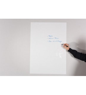 Panda Sade Beyaz Şeffaf 2 Li Kağıt Tahta 150x100 Cm PAN747