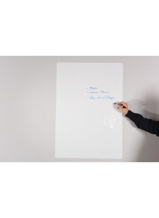 Panda Sade Beyaz Şeffaf 2 Li Kağıt Tahta 150x100 Cm PAN747