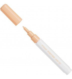 Pilot Pintor (EF) Pastel Turuncu SW-PT-EF-PO (1 Adet)