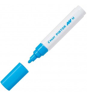 Pilot Pintor (M) Açık Mavi Sw-pt-m-lb (1 Adet)