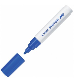 Pilot Pintor (M) Mavi Sw-pt-m-bl (1 Adet)