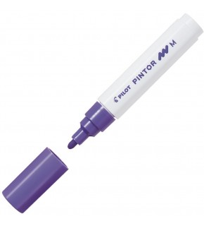 Pilot Pintor (M) Mor Pilot Pintor (M) Mor Sw-pt-m-v (1 Adet)
