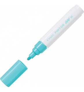 Pilot Pintor (M) Pastel Yeşil Sw-pt-m-pg (1 Adet)