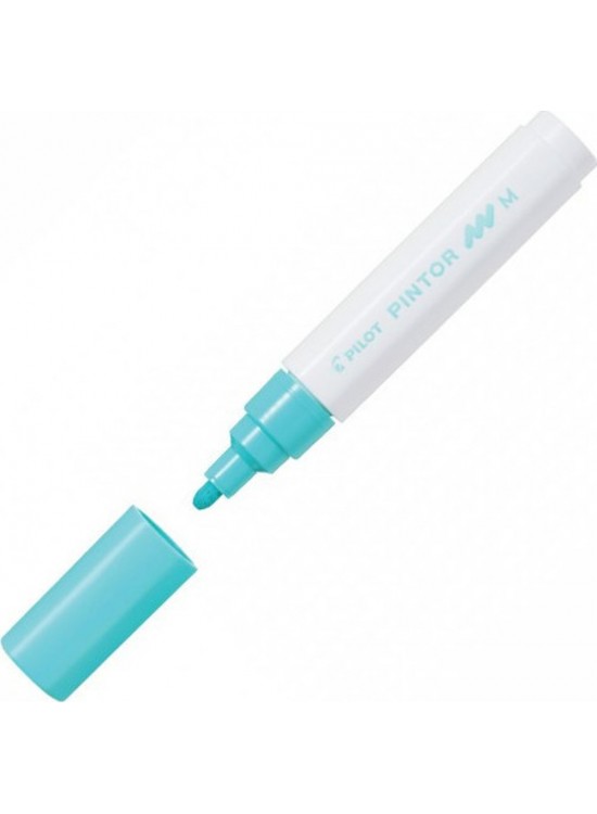 Pilot Pintor (M) Pastel Yeşil Sw-pt-m-pg (1 Adet)