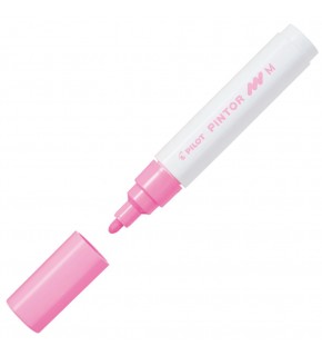 Pilot Pintor (M) Pembe Sw-pt-m-p (1 Adet)