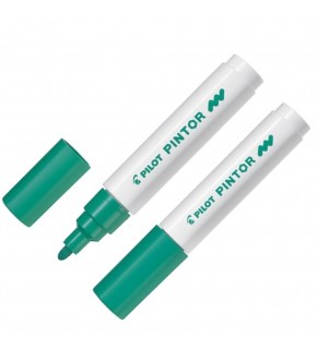 Pilot Pintor (M) Yeşil Sw-pt-m-g (1 Adet)