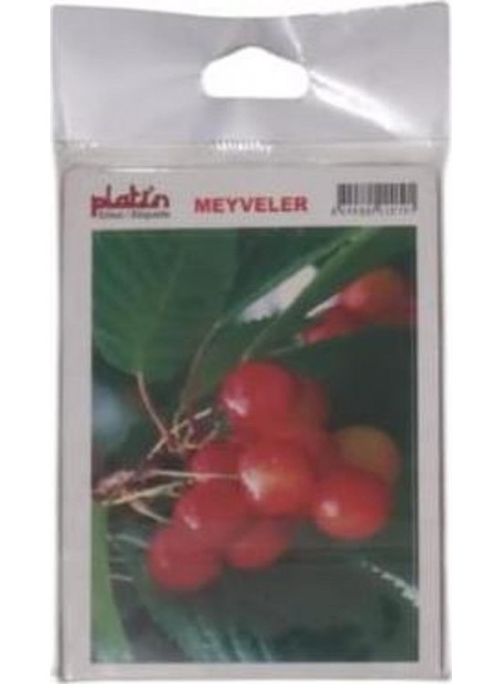 Platin Sticker Meyveler Ve Sebzeler 13x18 S0007