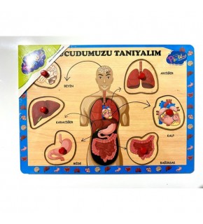Playwood Ahşap Tutmalı Vücudumuzu Tanıyalım Ony-287/288