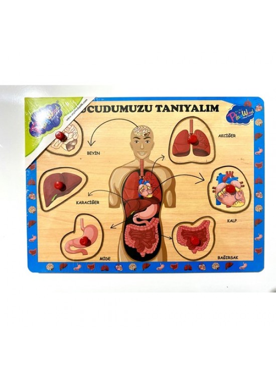 Playwood Ahşap Tutmalı Vücudumuzu Tanıyalım Ony-287/288