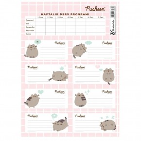 Pusheen Ders Programlı Etiket 3 Lü 220130-10