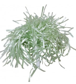 Rafya Gösteri Ponpon Su Yeşili P3557