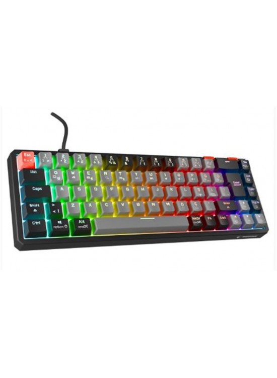 Rampage YORU MINI Gri-Siyah Type-C Bağlantılı OUTEMU Red Swich Q Mekanik Gaming Oyuncu Klavye RGB