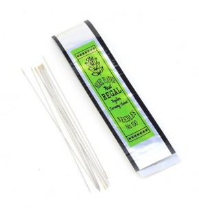 Regal Boncuk İğnesi Uzun 10 Lu No:100  (1 Adet)