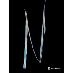 Renkli Balerin Sopası