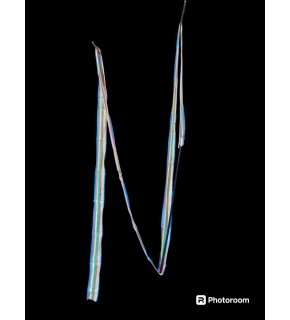 Renkli Balerin Sopası