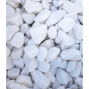 Renkli Taş Kutulu Beyaz T3703