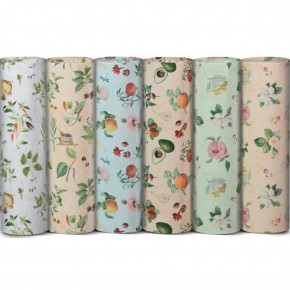 Rex Ambalaj Kağıdı Tekli Rulo Ecocarta Botanica 70x200 (1 Adet)