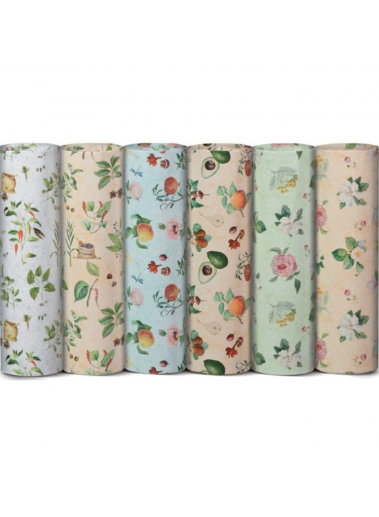 Rex Ambalaj Kağıdı Tekli Rulo Ecocarta Botanica 70x200 (1 Adet)