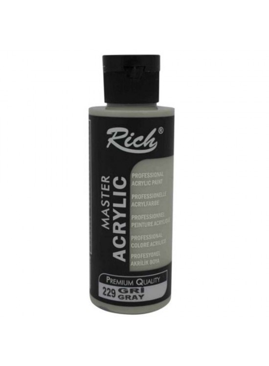 Rich Akrilik Boya Master 120 CC Gri 120-229