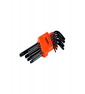 Rıco 013-RC0207 Torx Uzun 9lu Uzun Alyan Takımı