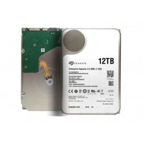 Seagate 12TB ST12000NM0127 SkyHawk 3.5" 7200RPM 256MB SATA 3 7-24 Harddisk (İthalat)