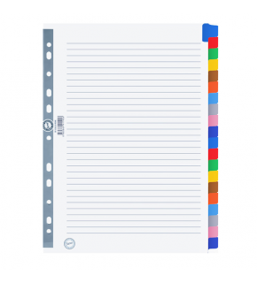 Serve Seperatör 20 Renkli A4 SV-5526/K